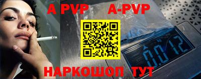 стафф Камышлов