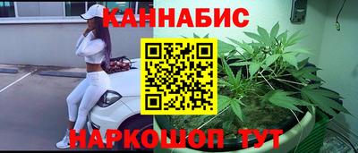 стафф Камышлов