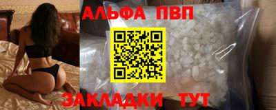 стафф Камышлов